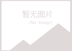 宁夏从蓉能源有限公司